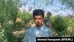 محمد مختار یکی از دهقانان جوان ولایت پروان