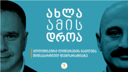 პოლიტიკური ლიდერების გავლენა შიდაპარტიულ დემოკრატიაზე