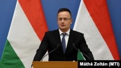 «Ми погоджуємося з позицією канцлера Німеччини і не плануємо вводити обмеження»