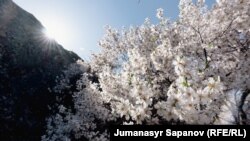 Кыргызстан