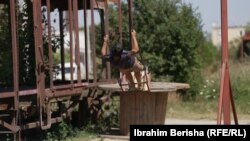 Një fëmijë duke u argëtuar në këndin e lojërave në Fushë Kosovë.