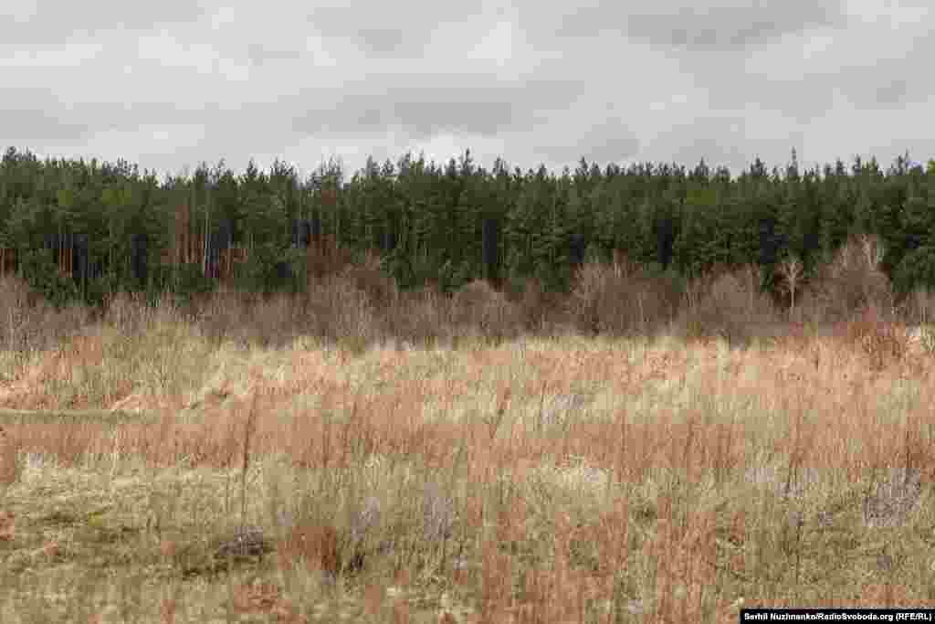 Imaginea 1: Vehicule militare distruse la periferia satului Teterivske. Imaginea 2: În același loc, echipamentele militare distruse nu mai sunt, iar vegetația a acoperit din nou pământul.&nbsp;