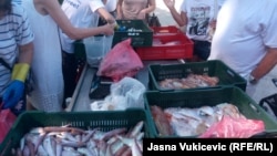 Kupovina upravo ulovljene ribe u Budvi