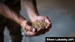 Рішення Національних зборів 14 вересня було ухвалене 124 голосами «за», 69 «проти» і вісьмома «утрималися»