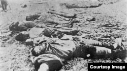 Трупы жертв резни пленных японцев, конца мая 1920 г., спущенные в Амур. Японская фотография, июнь 1920