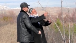 Теплая зима беспокоит аграриев Таджикистана