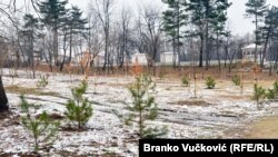 “Park novogodišnjih jelki”, mesto gde građani mogu da, nakon novogodišnjih prazika, zasade jelke sa busenom