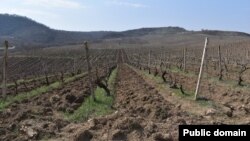 Լուսանկարը՝ Արցախի ՆԳՆ-ի