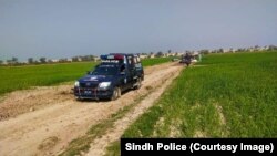 امنیتي ځواکونو د سيند د کچې سيمې د غلو خلاف عملیاتو ته دوام ورکړی. پخوانی انځور