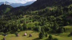 Țară în service | Drumul lemnului. Marea afacere cu bușteni din pitorescul Maramureș și ce rol joacă celebra Mocăniță