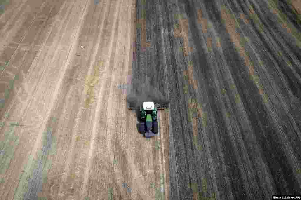 Având în vedere că cerealele erau principala sursă de venit a fermei, produsele lui Tsvyk au ajuns până în India și în țările sărace din Africa de Nord, spune el. Având în vedere că singurele alte opțiuni sunt rutele terestre, feroviare și fluviale mai costisitoare prin Europa, care au stârnit reacții de respingere din partea țărilor vecine, cerealele sale vor sta probabil în depozite, ceea ce îl va costa zeci de mii de dolari în pierderi.