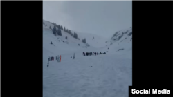 Скриншот видео с места инцидента