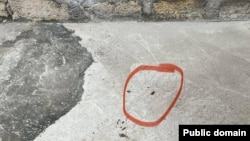 Լուսանկարը՝ ՆԳՆ-ի