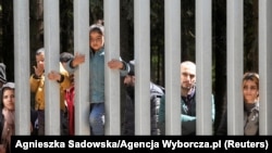 Мігранты на беларуска-польскай мяжы 