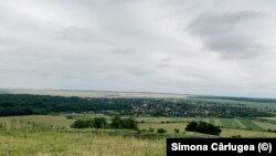 Un urs a fost semnalat într-o pădure aflată la 30 de km de Craiova/ jud. Dolj. În linie dreaptă, până la prima zonă submontană sunt câteva zeci de kilometri. Ursul i-a parcurs fără probleme.