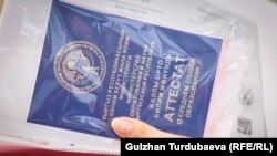 Иллюстрациялык сүрөт.