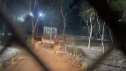 په پاکستان کې په لومړي ځل د شپې سفاري پیل شوې