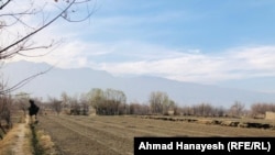 خشکسالی در ولایت پروان