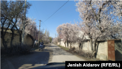 Баткен. 21-март, 2023-жыл.