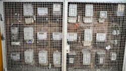 Čekaju se računi: Ko će plaćati struju na sjeveru Kosova nakon 25 godina?