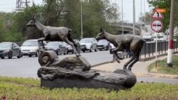 Киік атылған Батыс Қазақстанда жануардың мүсіні қойылды    