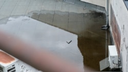 Prokišnjavanje kulture u Banjaluci 