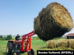 Kišno nevreme "odnelo" je travu na šumadijskim livadama
