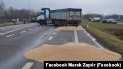 Розсипане учасниками блокування кордону з Україною зерно. Польща, поблизу пункту пропуску «Дорогуськ-Ягодин», 11 лютого 2024 року