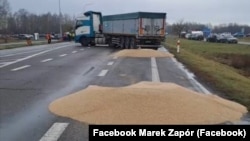 Польща. Розсипане учасниками блокування кордону з Україною зерно. Поблизу пункту пропуску «Дорогуськ-Ягодин», 11 лютого 2024 року