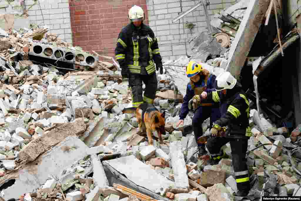 Рятувальники разом із собакою шукають зниклих безвісти серед руїн будинку, в який влучила російська ракета 17 квітня 2024 року. Ракетним ударом була зруйнована&nbsp;восьмиповерхівка, пошкоджені ще чотири багатоповерхівки, лікарня, заклад вищої освіти та десятки авто, повідомила місцева влада