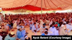 د ټانک امن جرګه کې د ګڼو قومونو استازو ګډون وکړو: انځور جون ۱۰، کال ۲۰۲۴