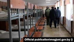 Магілёўская калёнія №15, ілюстрацыйнае фота