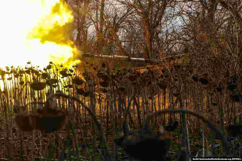 Посеред незібраного поля соняшників український танк прикриває побратимів, Донеччина, березень 2023 року