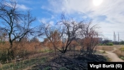 Focul a distrus orice urmă de vegetație în zona retrocedată.