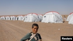 خیمه های زلزله زدگان ولایت هرات. عکس از آرشیف