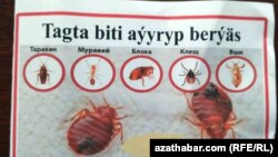 Käbir adamlar ýaşaýjylara tagtabiti ýok etmäge kömek bermegi hödürleýärler. Bu hyzmat baradaky bildirişler jaýlaryň girelgelerinde we etrapçalaryň dürli ýerlerinde asylýar.