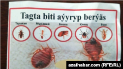 В Ашхабаде объявления с предложением услуг по ликвидации клопов встречаются повсеместно, в подъездах жилых домов, в госучреждениях и публичных местах.    