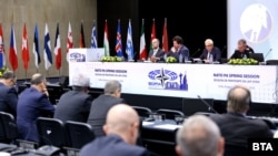 Засідання Парламентської асамблеї НАТО, архівне фото