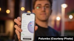 Aplicația Palumba propune 29 de declarații cu care utilizatorii aleg dacă sunt sau nu de acord. În baza alegerilor lor, ei sunt „cuplați” cu partidul european și cel local care li se potrivește.