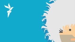 Борьба за преемника Кадырова | #263