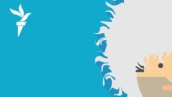 Чеченский омбудсмен против правозащитников | #260