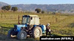 Ekerançylyk meýdany we traktor (Illýustrasiýa suraty)