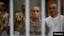 დანაშაულებრივ ჯგუფ MS-13-ის წევრები სალვადორის ციხეში. 2023 წელი
