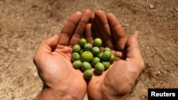 Илустрација