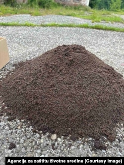 Ulovljeni insekti preko feromonskih mamaca, juni 2024.