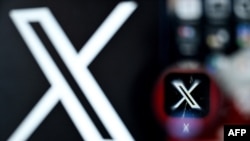 Відтак X має 60 робочих днів, аби поінформувати комісію про заходи, щоб покласти край порушенням DSA, пов’язаним із оманливим використанням блакитних галочок