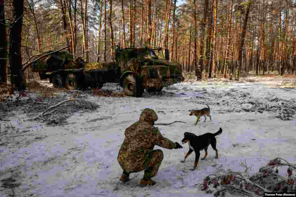 A soldier from Ukraine's 45th Artillery Brigade feeds a stray dog near the Archer self-propelled howitzer. Brigadier General Oleksandr Tarnavskiy was speaking after Republican lawmakers held up a U.S. aid&nbsp;package and Hungary blocked European Union funding for Kyiv as it battles Russia's invasion. &nbsp;