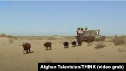 Арал деңизинин орду