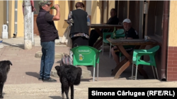 În centrul comunei Plenița