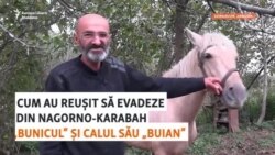 Cum au reușit să evadeze din Nagorno-Karabah „Bunicul” și calul său „Buian” 